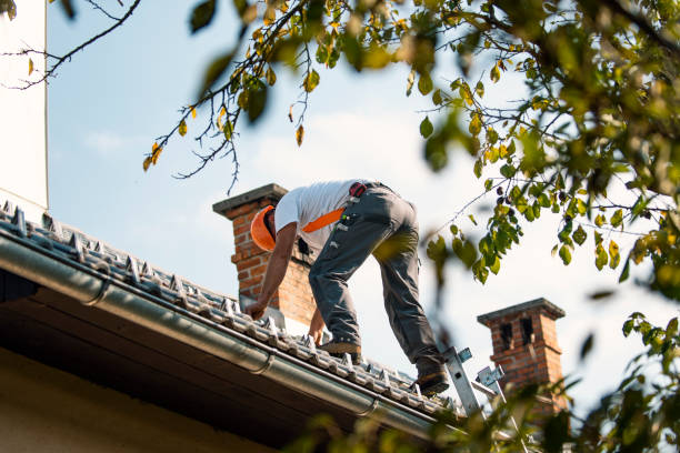 Best Roof Gutter Cleaning  in Greenback, TN