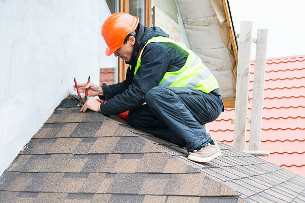 Roof Gutter Cleaning in Greenback, TN